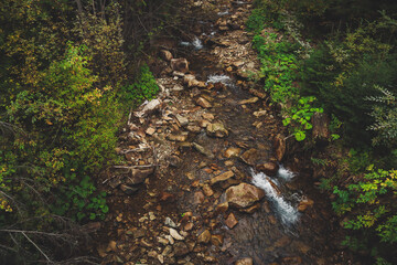 Ukrainian mountains of the Carpathians in autumn.River