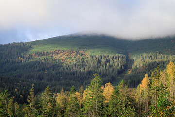Ukrainian mountains of the Carpathians in autumn.