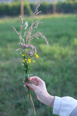 blume in hand