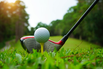 Golf ball and golf club in beautiful golf course at Thailand. Collection of golf equipment resting on green grass with green background