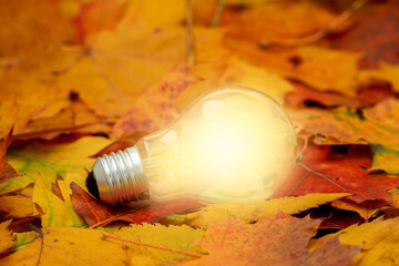 Glowing light Bulb with autumn background