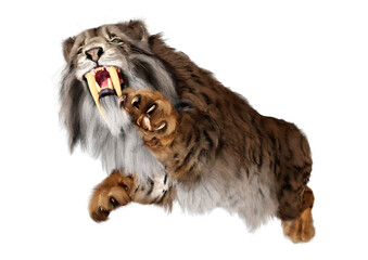 3D Rendering Sabertooth Tiger on White