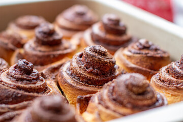 Delicious round cinnamon rolls on a baking sheet after the oven.