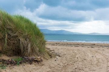 sand dunes on the beach