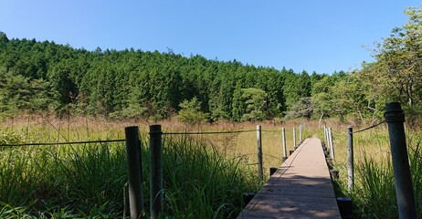 fence on the bank of lake