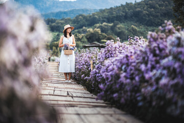 Traveler asian woman travel in flower garden in Chiang Mai Thailand
