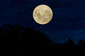 Fototapeta na wymiar Full moon over silhouette trees in the night.