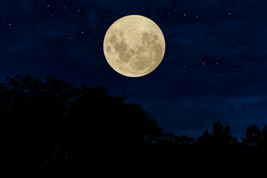 Full moon over silhouette trees in the night.