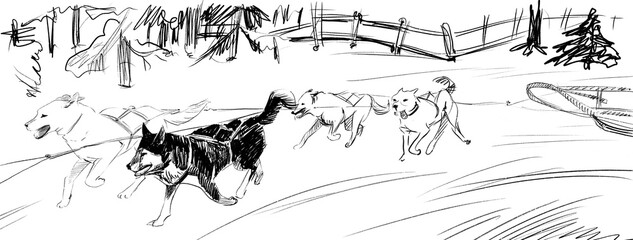 Team of sled dogs running pencil sketch. Background winter northern landscape. Illustration of husky