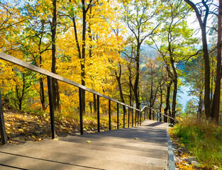 Sunny autumn with yellow trees in Lithuania