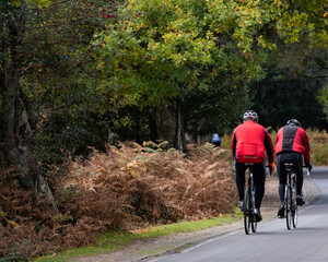 Obraz premium Two cyclist riding on country roads