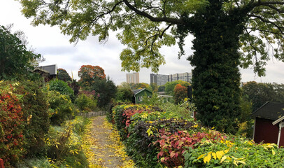 Footpath at Tantolunden park