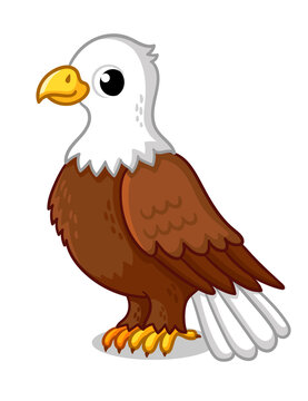 Beautiful eagle in cartoon style on a white background. Vector illustration.