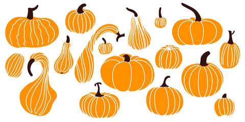 orange pumpkins of different sizes isolated on white background. Flat lay. Vector illustration