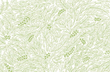 Olive tree foliage pattern background. Olive-tree wrapper. Green leaves line contour. Vector Illustration hand-drawn.