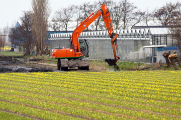 Dredging a ditch by a crane with backhoe in a Dutch flower growing area; dredging spoil is deposited on land.