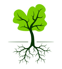 Green Tree with Roots. Vector outline Illustration. Plant in Garden.