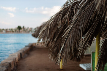 Fototapeta na wymiar Close up of beach umbrellas made of dry palm leaves on beach