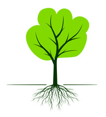 Green Tree with Roots. Vector outline Illustration. Plant in Garden.