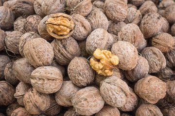 Walnut, a lot of ripe nut fruits (juglans regia), tasty and healthy organic food, natural background