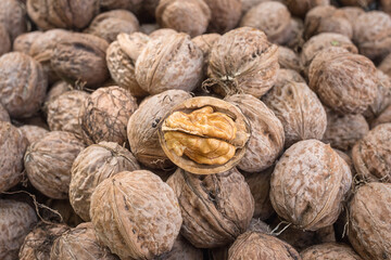 Walnut, a lot of ripe nut fruits (juglans regia), tasty and healthy organic food, natural background