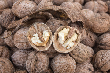 Walnut, a lot of ripe nut fruits (juglans regia), tasty and healthy organic food, natural background