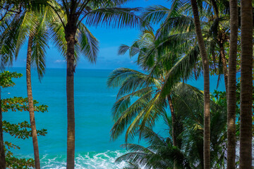 Fototapeta na wymiar Natural background of seaside scenery (with coconut trees, boulders, sandy beach) and blurred sea waves.
