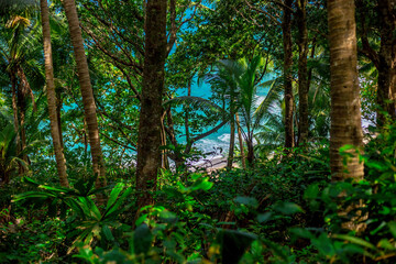 Obraz premium Natural background of seaside scenery (with coconut trees, boulders, sandy beach) and blurred sea waves.