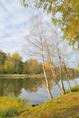 Fototapeta premium Autumn in the park
