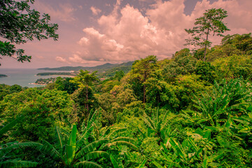 Natural high angle panoramic background With an atmosphere surrounded by mountains and trees, with a blurred wind, cool