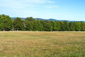 Vacant land with trees and a distant rock wall with mountains and sky above.