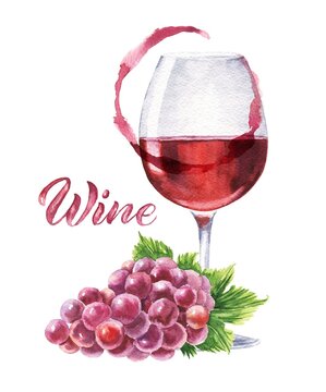 Watercolor glass of red wine with grape and stain on white background. Watercolour food illustration .