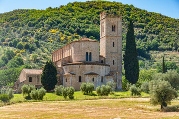 Fototapeta premium Colline di Montalcino in provincia di SIENA