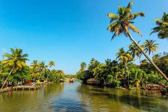 The palm fringed backwaters that attract the popular tourist houseboat cruises, Alappuzha (Alleppey), Kerala, India