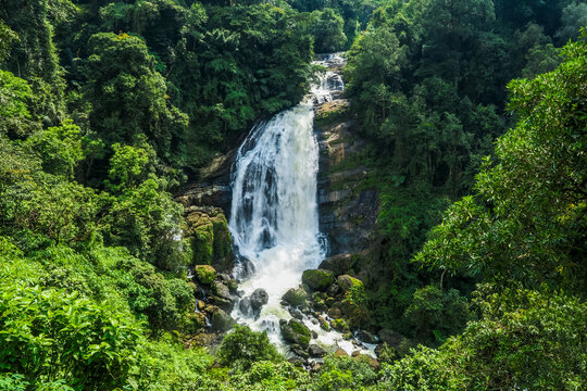 The 70m Valara Waterfall on the Deviyar River after Monsoon, a popular sight on the road to Munnar, Idukki district, Kerala, India