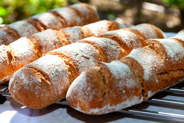 freshly baked homemade breads_2