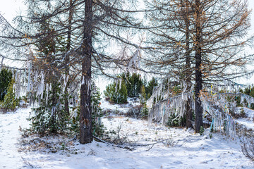 scenic view of cold winter day