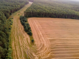 road in the forest field forest drone shooting