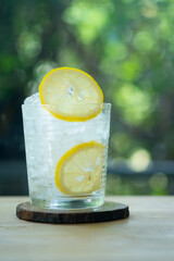Glass of ice and slice of fresh lemon