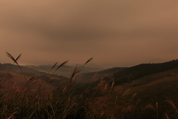 Fototapeta premium 秋吉台から望む朝の山並み