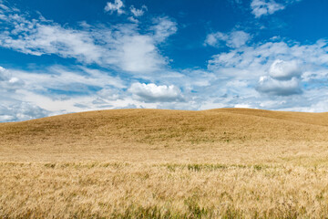 Fototapeta premium Romanesque abbey of San Antimo in Siena in summer