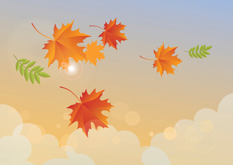 Sunny autumn sky with falling leaves vector. Beautiful autumn leaves and sky vector. Falling maple leaves in autumn landscape vector. Sunny bright autumn sky illustration