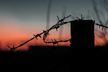 barbed wire fence at sunset sky tree silhouette