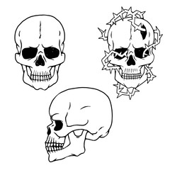 Vector human skulls sketch side and front views isolated illustrations.