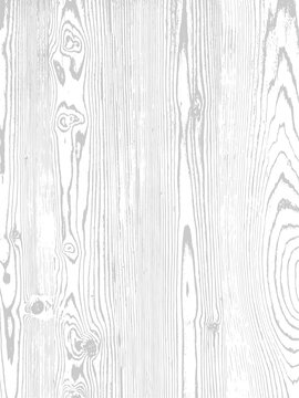 Vector wood texture. Natural material on white background.