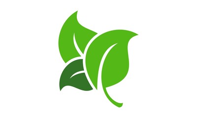 natural leaf logo