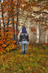 Fototapeta premium woman in the woods. tourist walking in the misty autumn forest