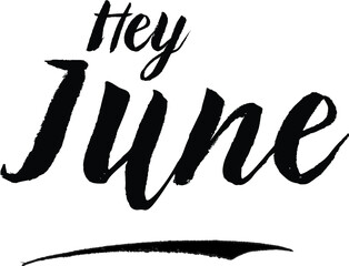 Hey June Handwritten calligraphy Black Color Text On 
White Background
