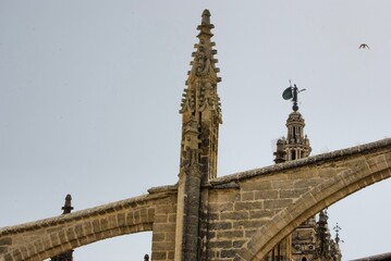 Fototapeta na wymiar Giralda asomando entre los pináculos góticos de la catedral de Sevilla