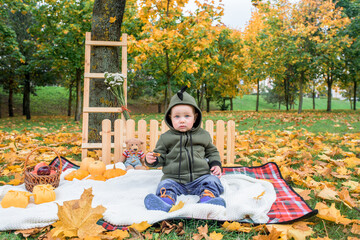 Cute baby boy with pumpkins in autumn park
